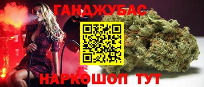 крисы Донской