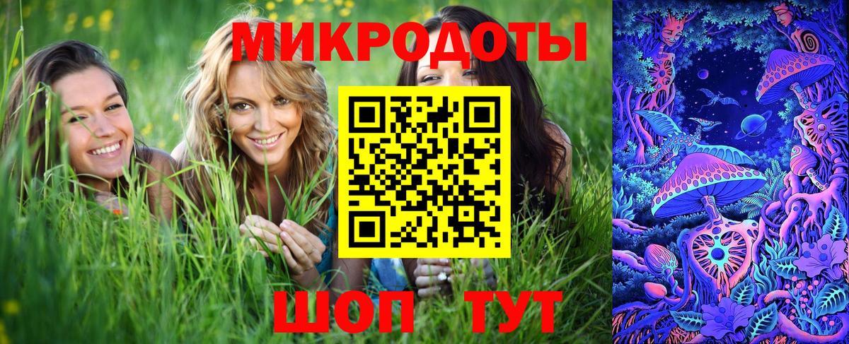 Псилоцибиновые грибы Psilocybe Ишимбай