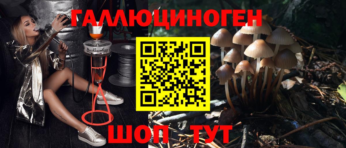 Галлюциногенные грибы Psilocybe Ишимбай
