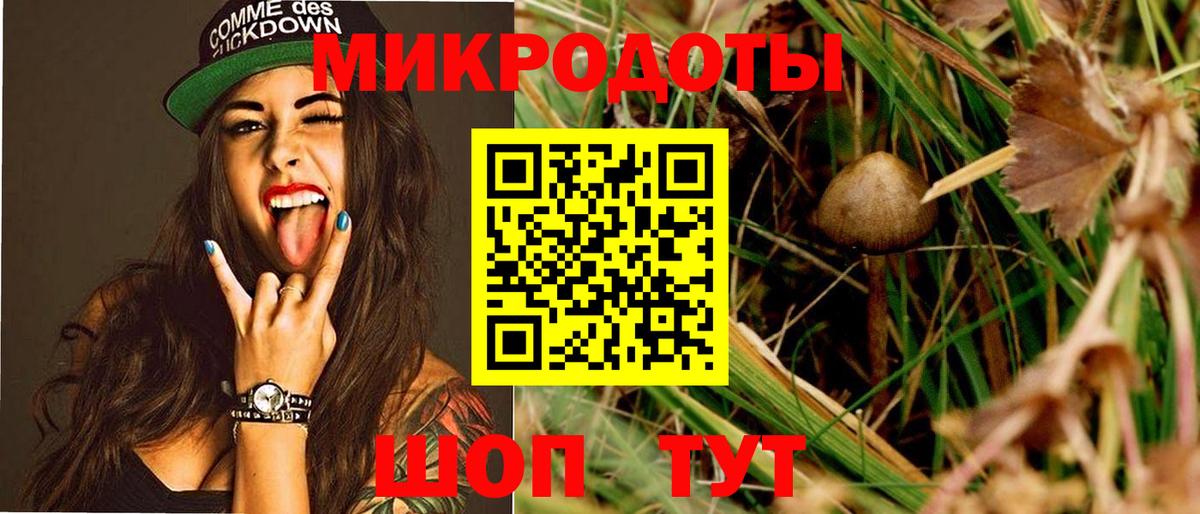 цена наркотик  Галлюциногенные грибы прущие грибы  Ишимбай  Галлюциногенные грибы Psilocybe 