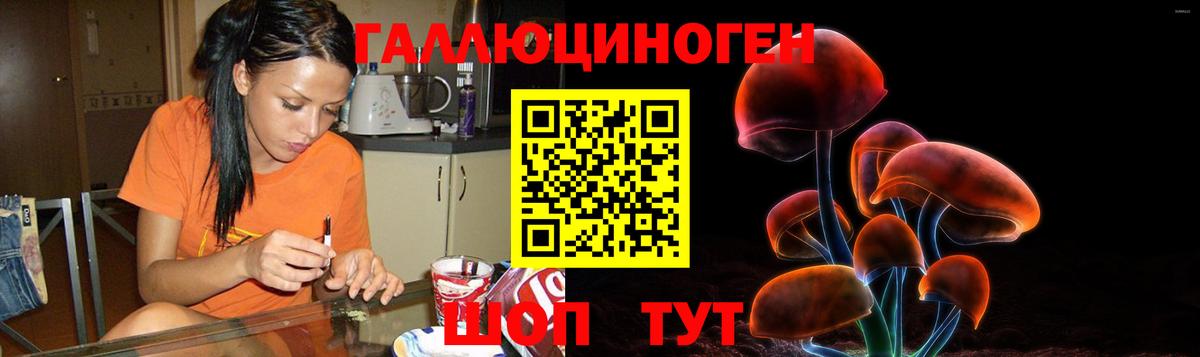 Псилоцибиновые грибы Psilocybine cubensis  Вход с VPN  Псилоцибиновые грибы Cubensis  Ишимбай 